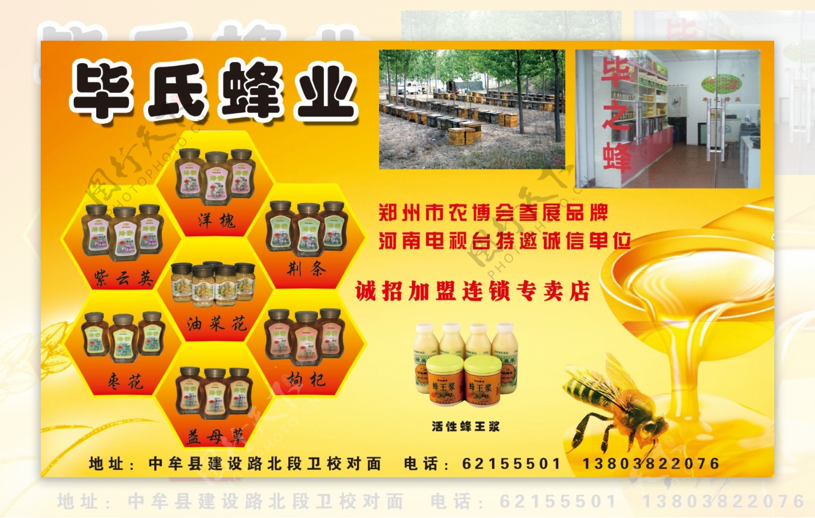 蜂业蜜蜂蜂蜜蜂浆花粉毕氏蜂业图片