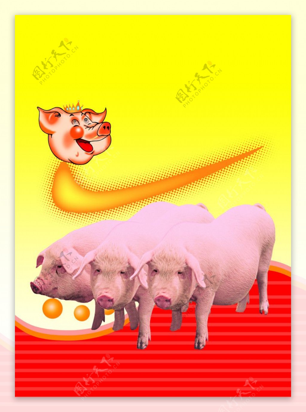 猪饲料袋图片