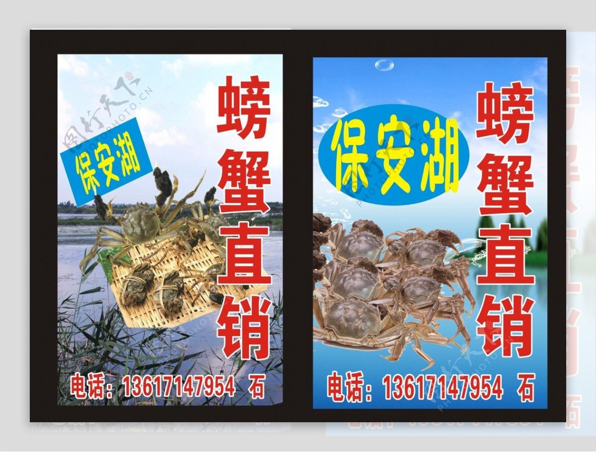 螃蟹海报图片