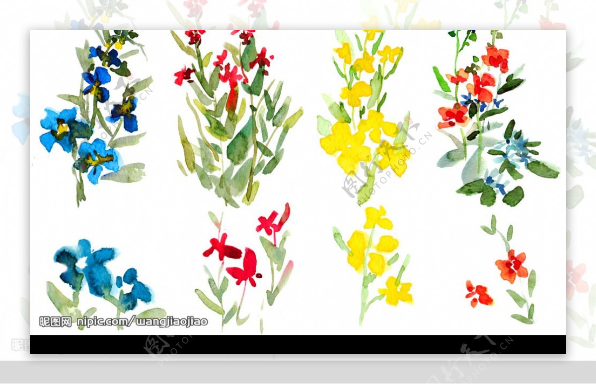 精美韩国花卉PSD素材图片