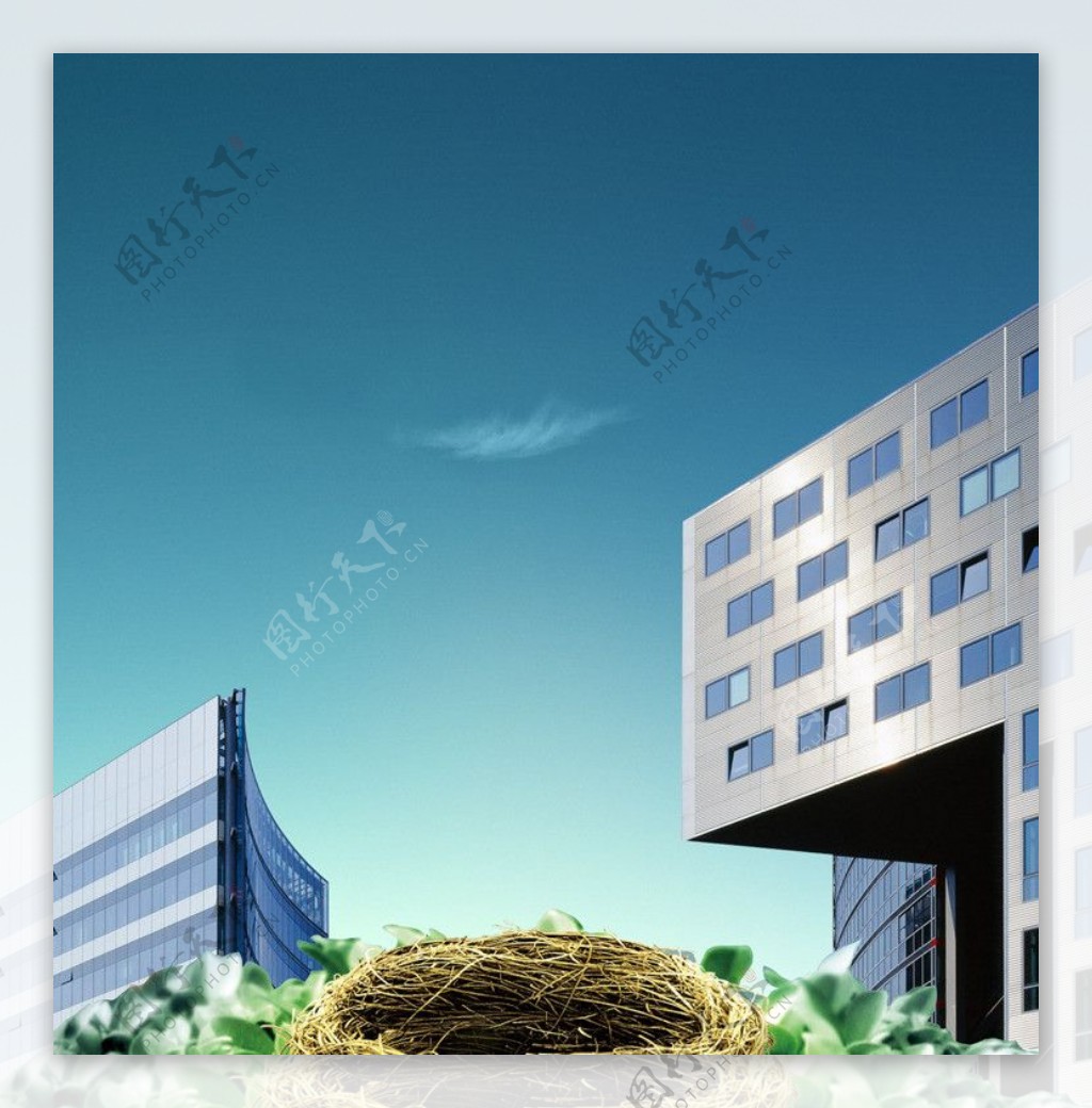 鸟巢生态城市建筑图片