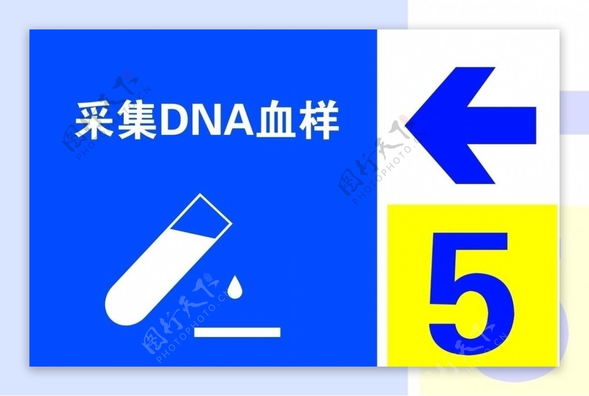 采集DNA血样图片