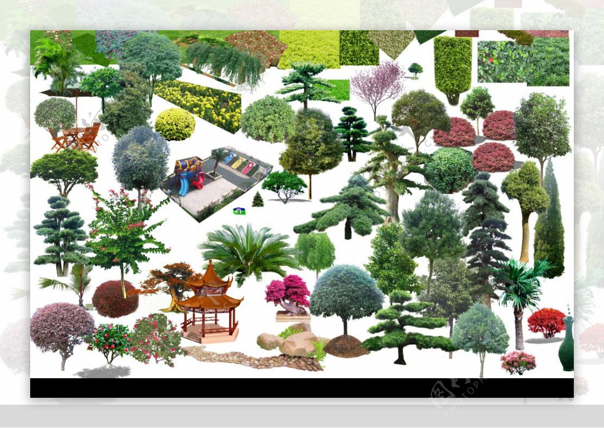 PSD景观树木素材图片
