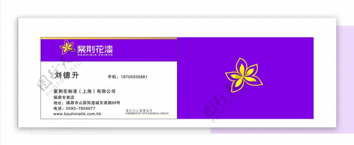 紫荆花漆名片图片