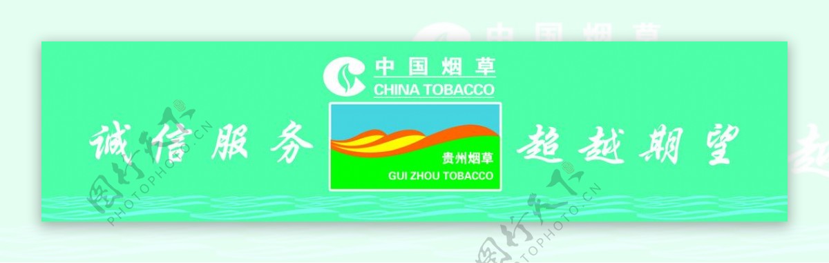 中国烟草图片