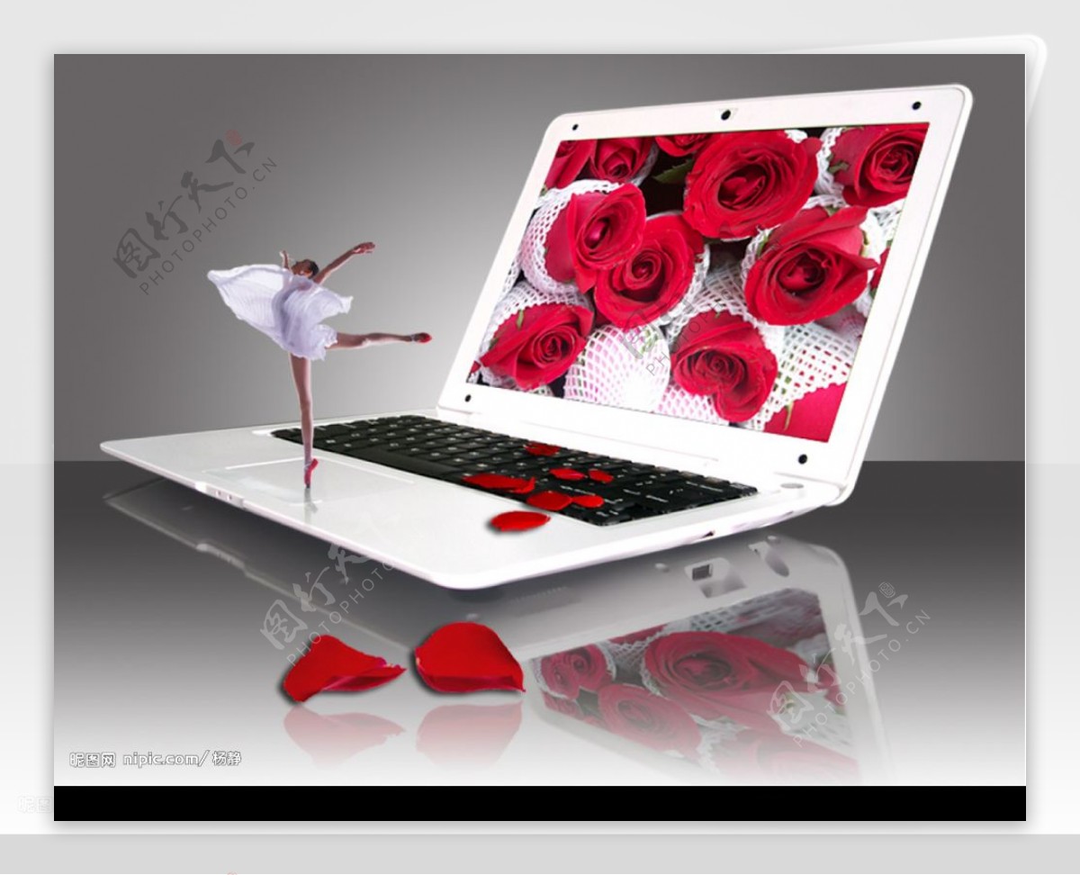 花与女孩电脑笔记本图片