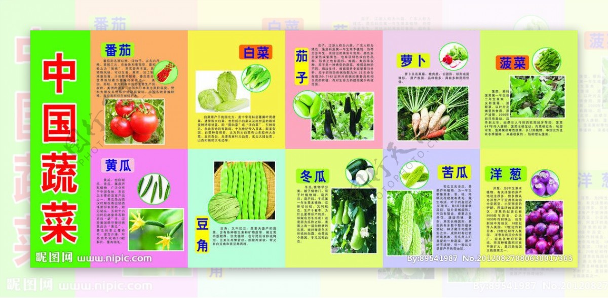 中国的各种蔬菜图片