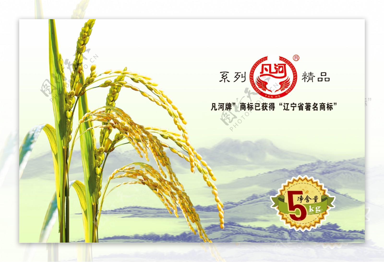 水稻海报图片