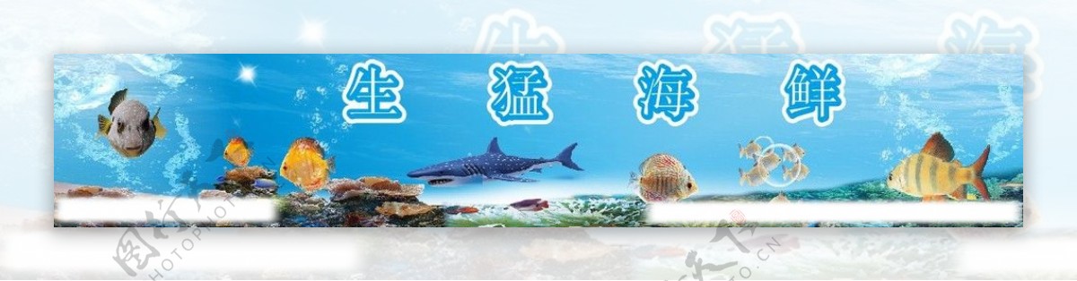 海鲜横幅图片