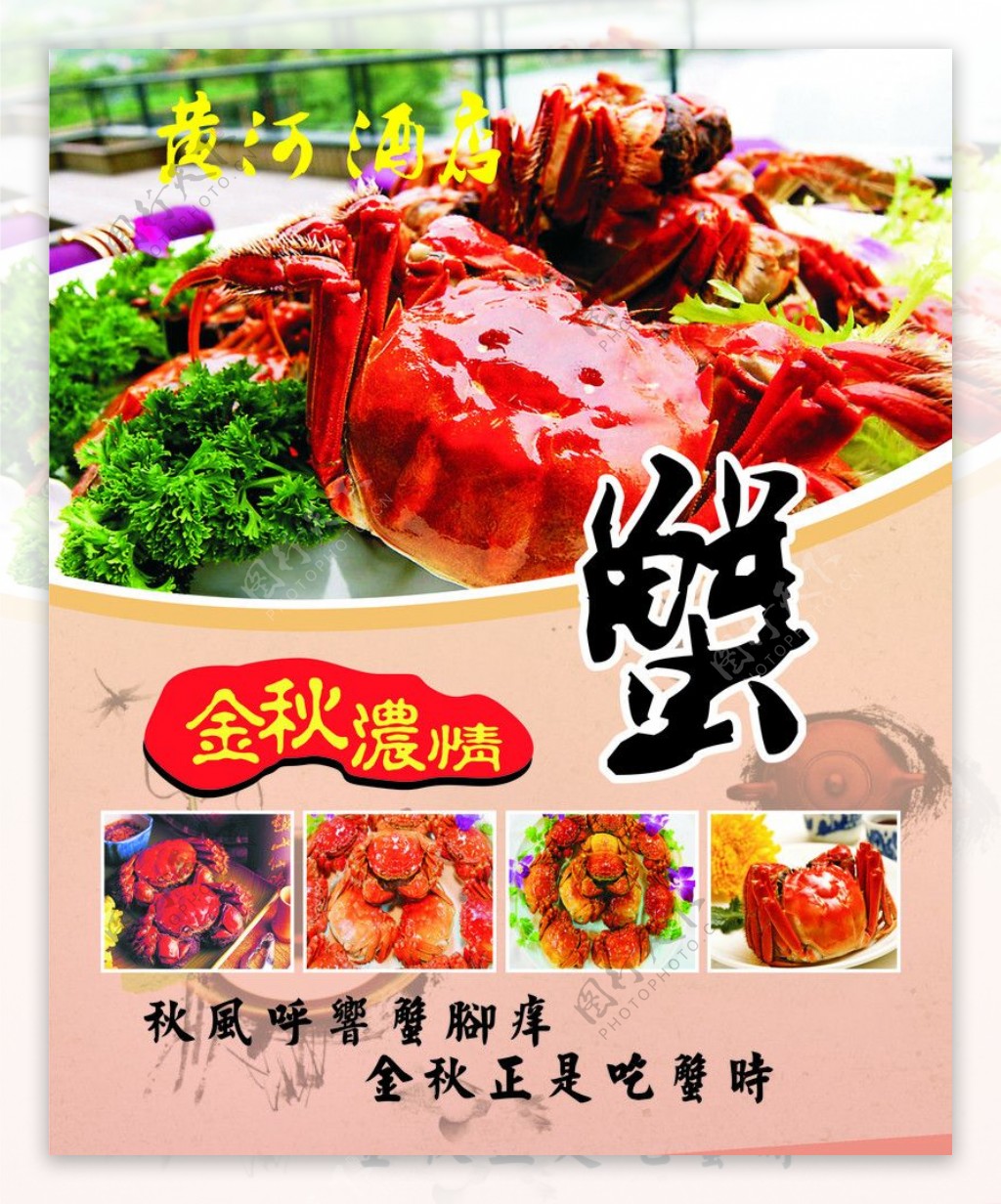 螃蟹大餐海报图片