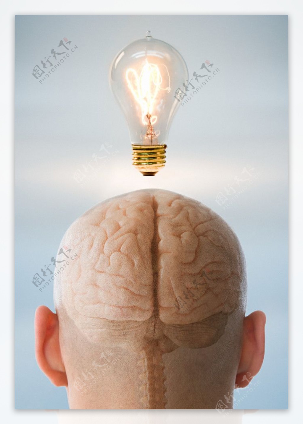 电灯人脑图片