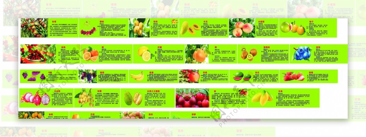 各种水果的营养价值及食疗作用10米长图片