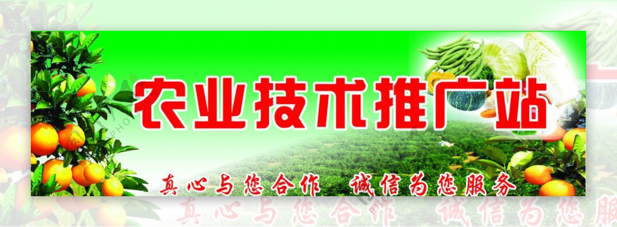 农业技术推广站图片
