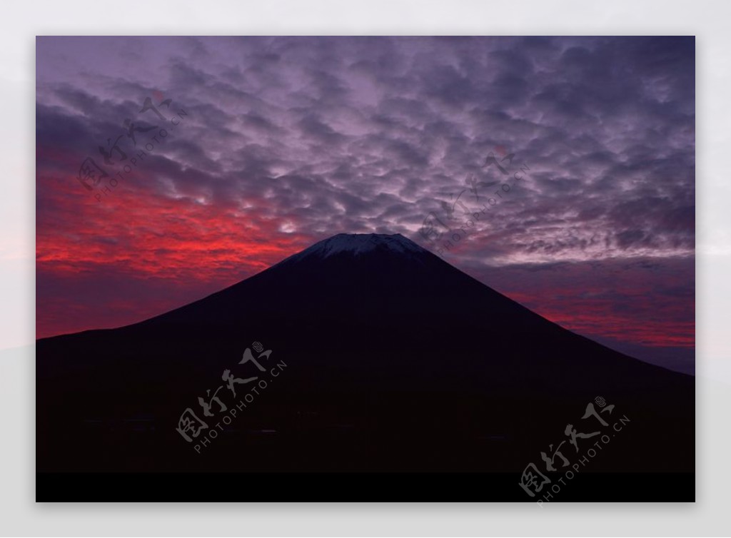 樱花与富士山0092