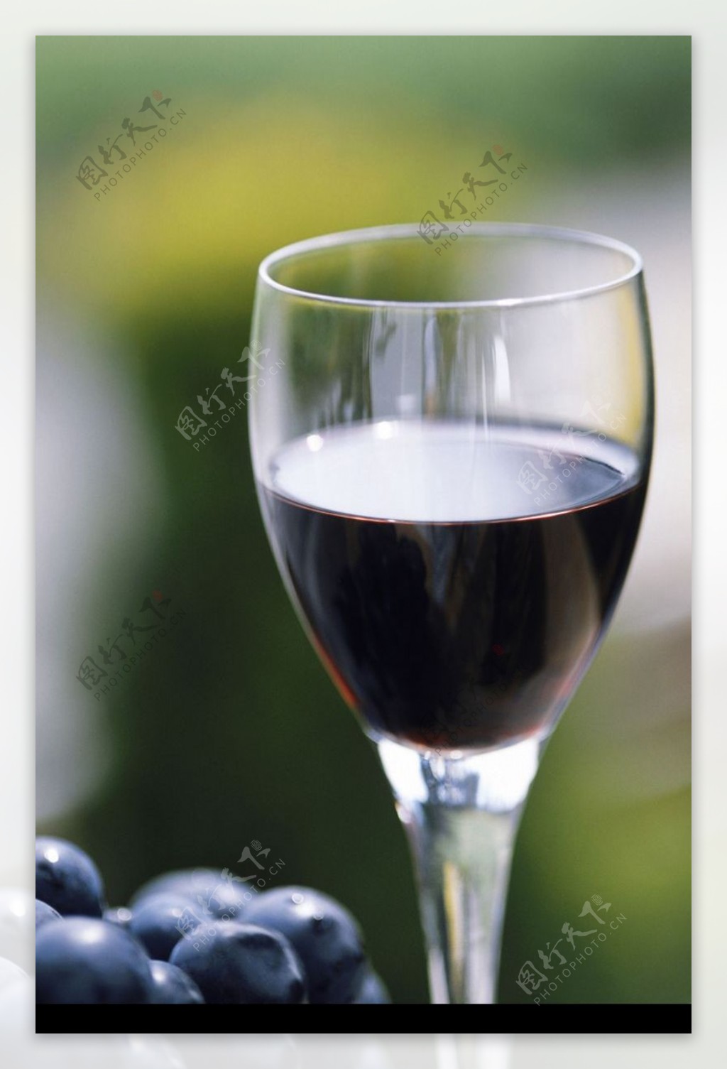 葡萄酒篇0024