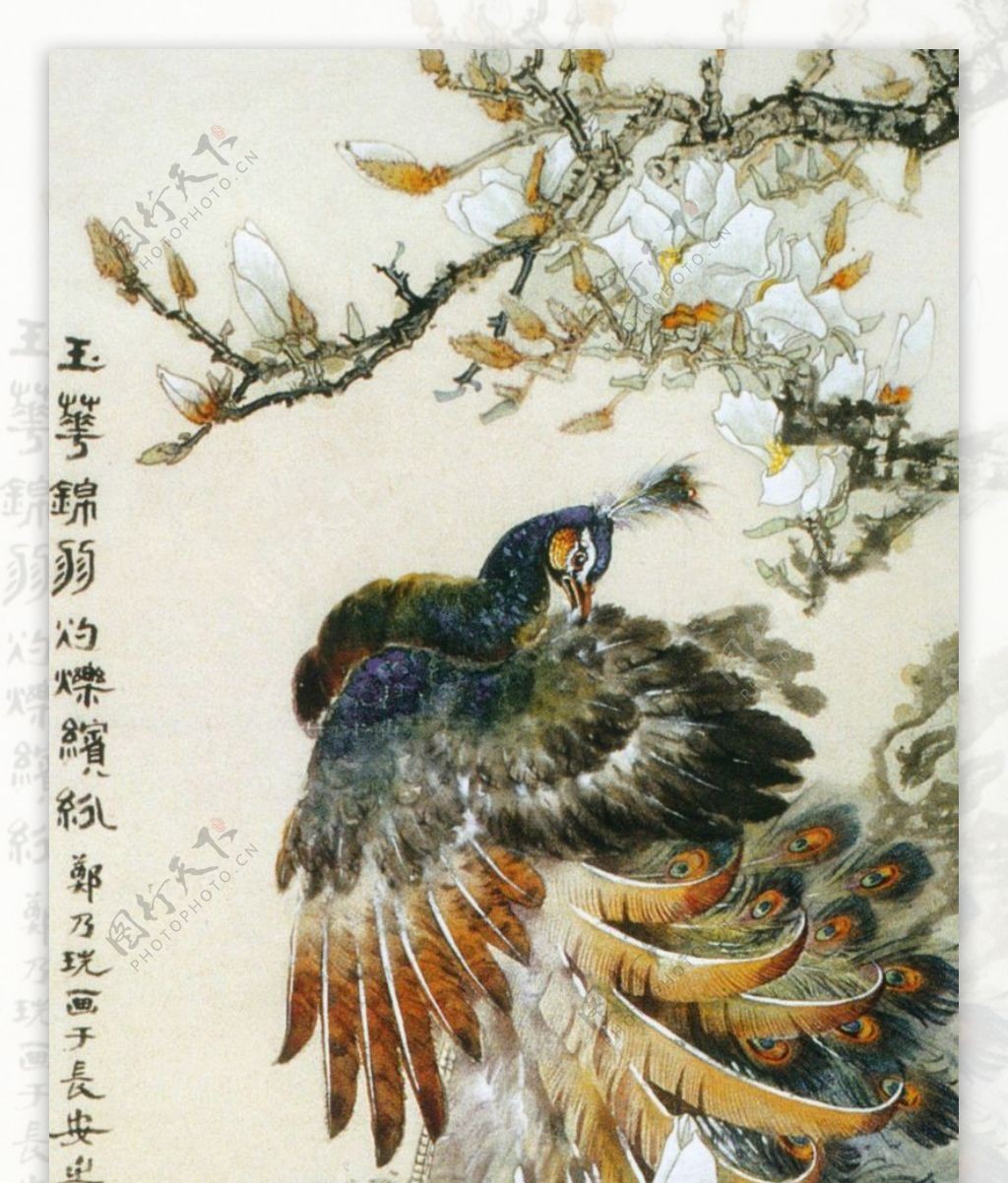 中国现代花鸟0180