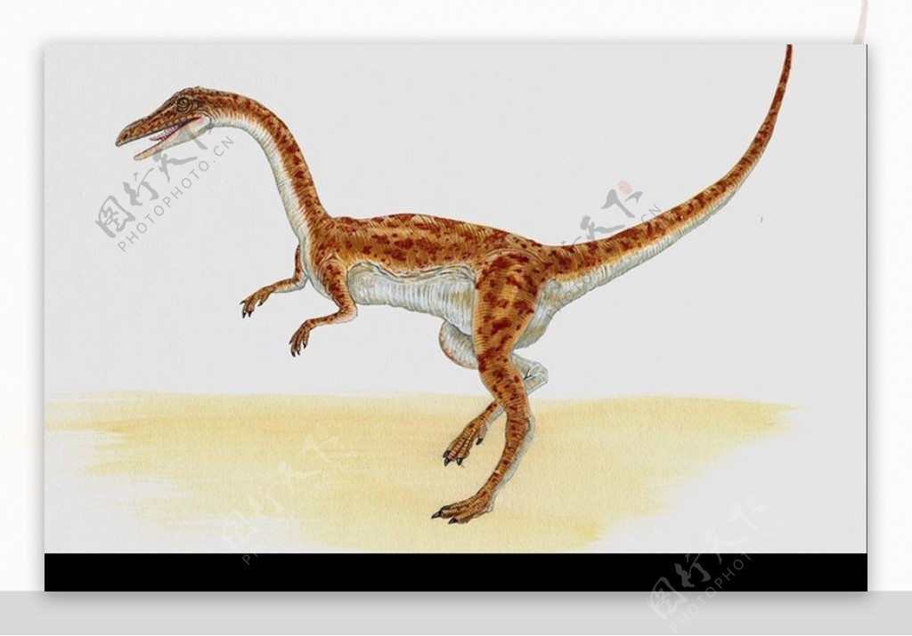 白垩纪恐龙0014