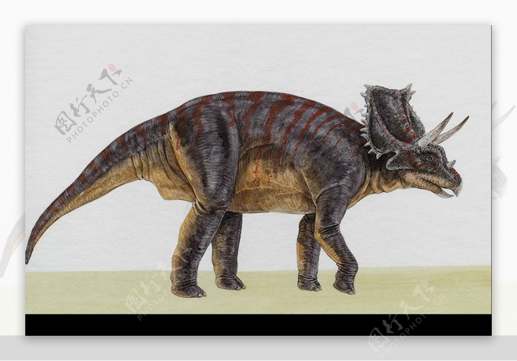 白垩纪恐龙0023