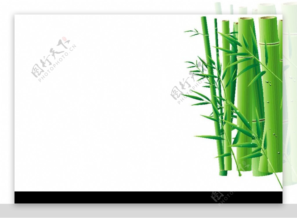 竹子荷花植物0002