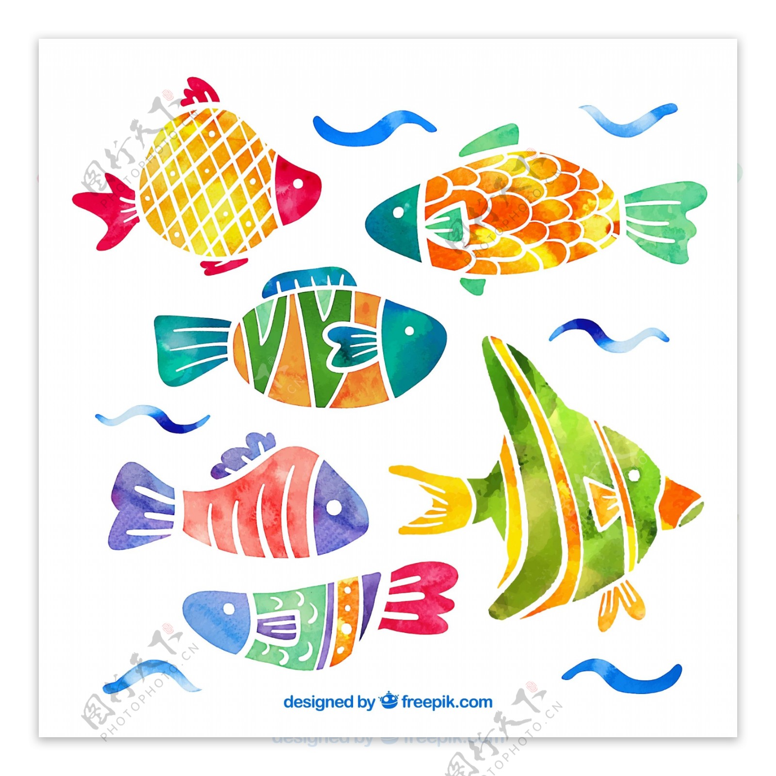 彩绘花纹鱼类
