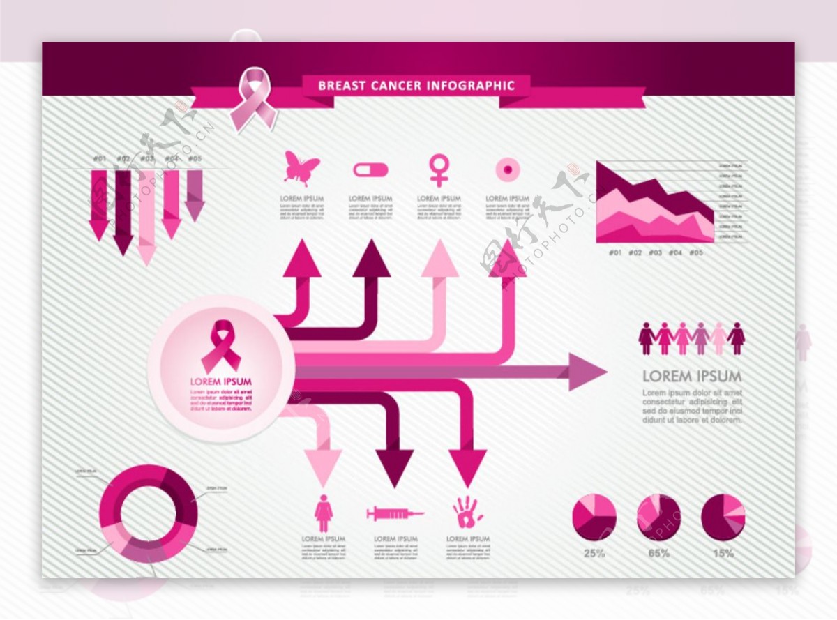 女性医疗信息图表