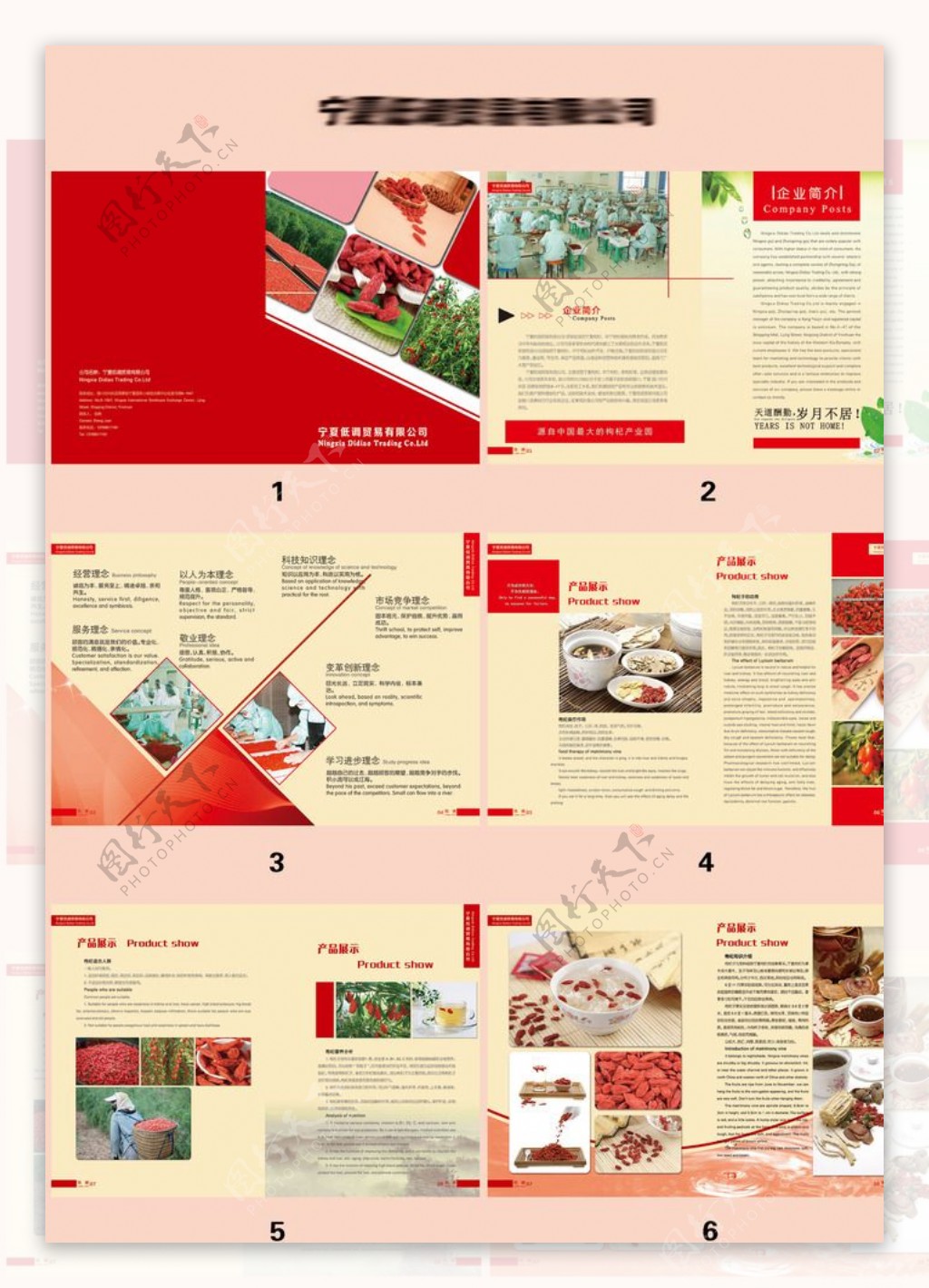 食品贸易有限公司宣传册画册