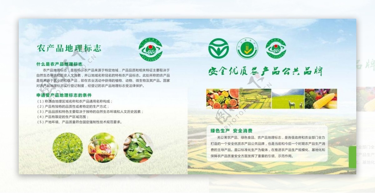 绿色农产品画册