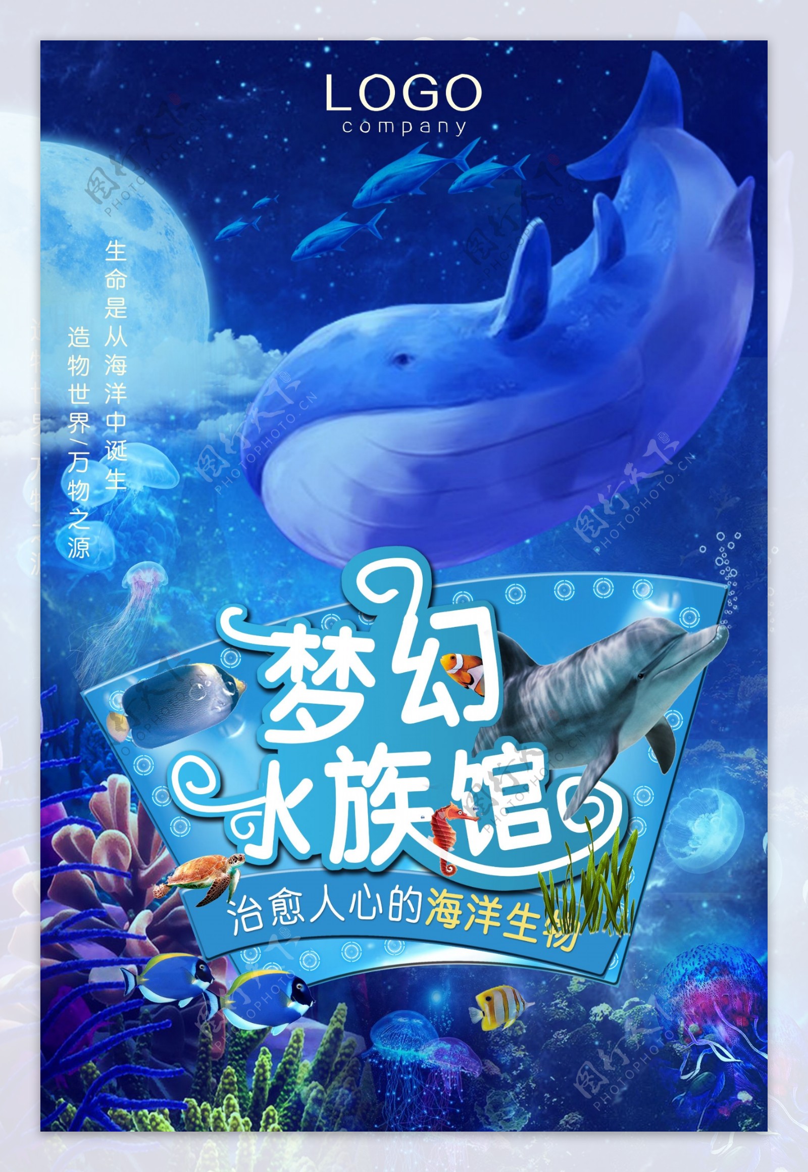 水族馆海洋生物海报