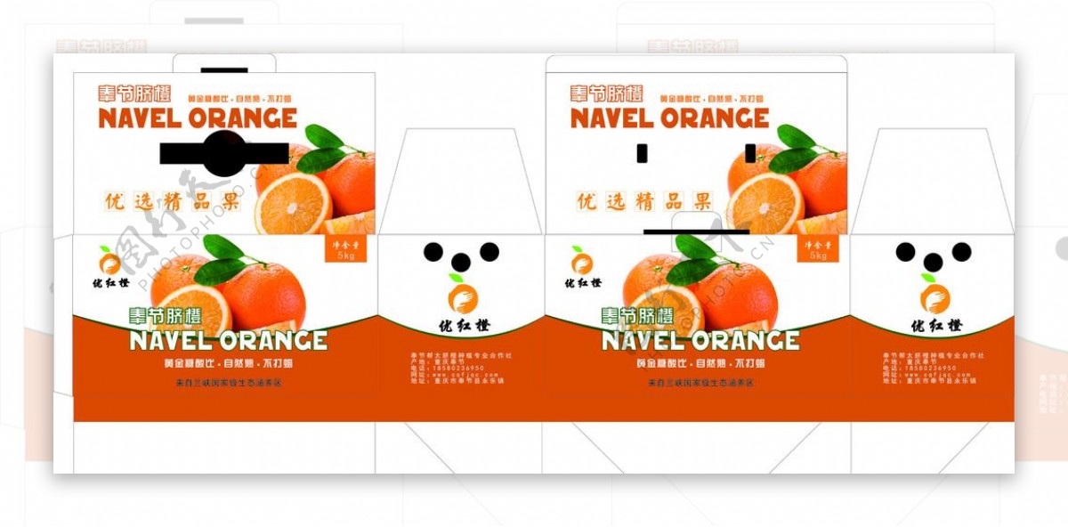 脐橙包装设计平面图