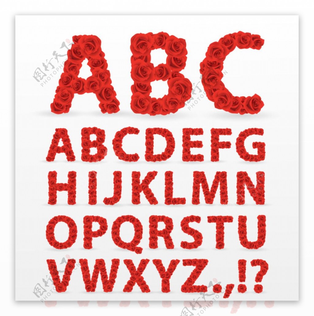 红玫瑰字母设计