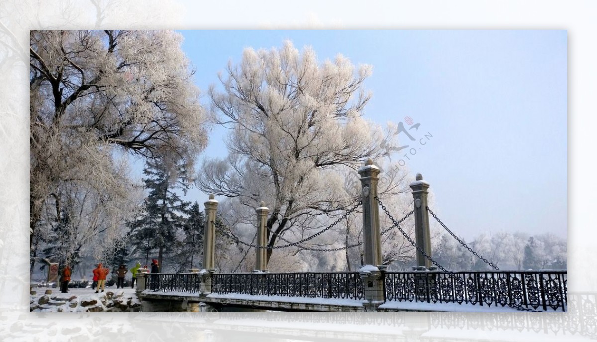 冬季雪景