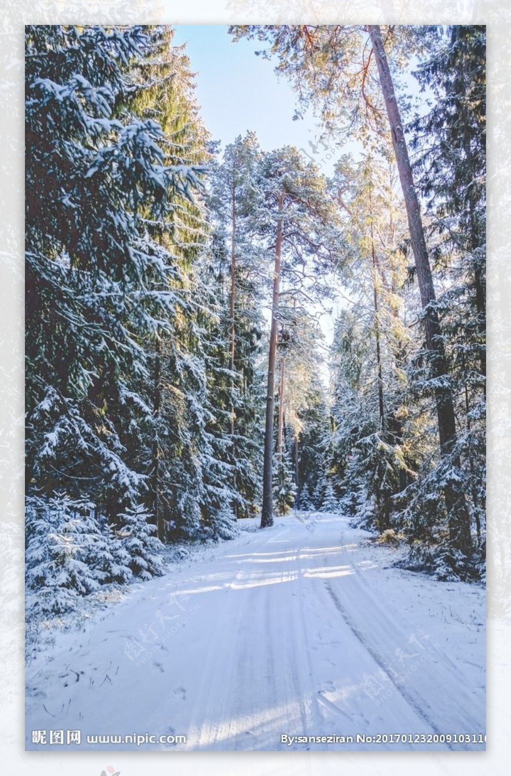 白雪覆盖的林间小路
