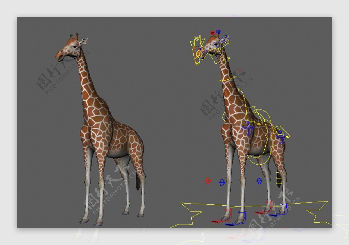 精致长颈鹿maya3d模型