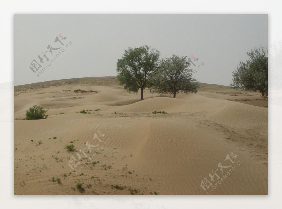 沙漠沙丘摄影