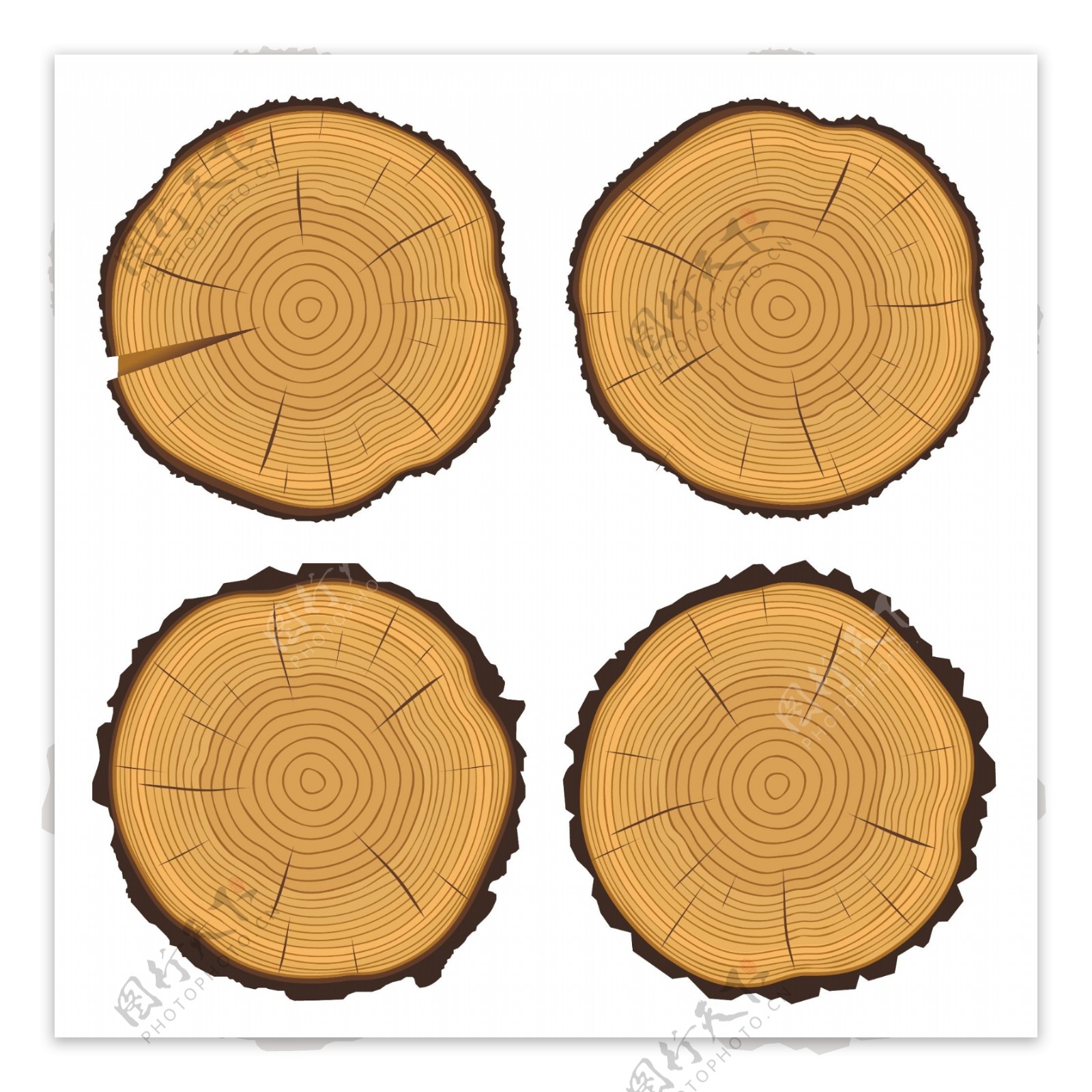 手绘树木年轮矢量图像合集 Timber – Hand Drawn Vector Image Set – 设计小咖