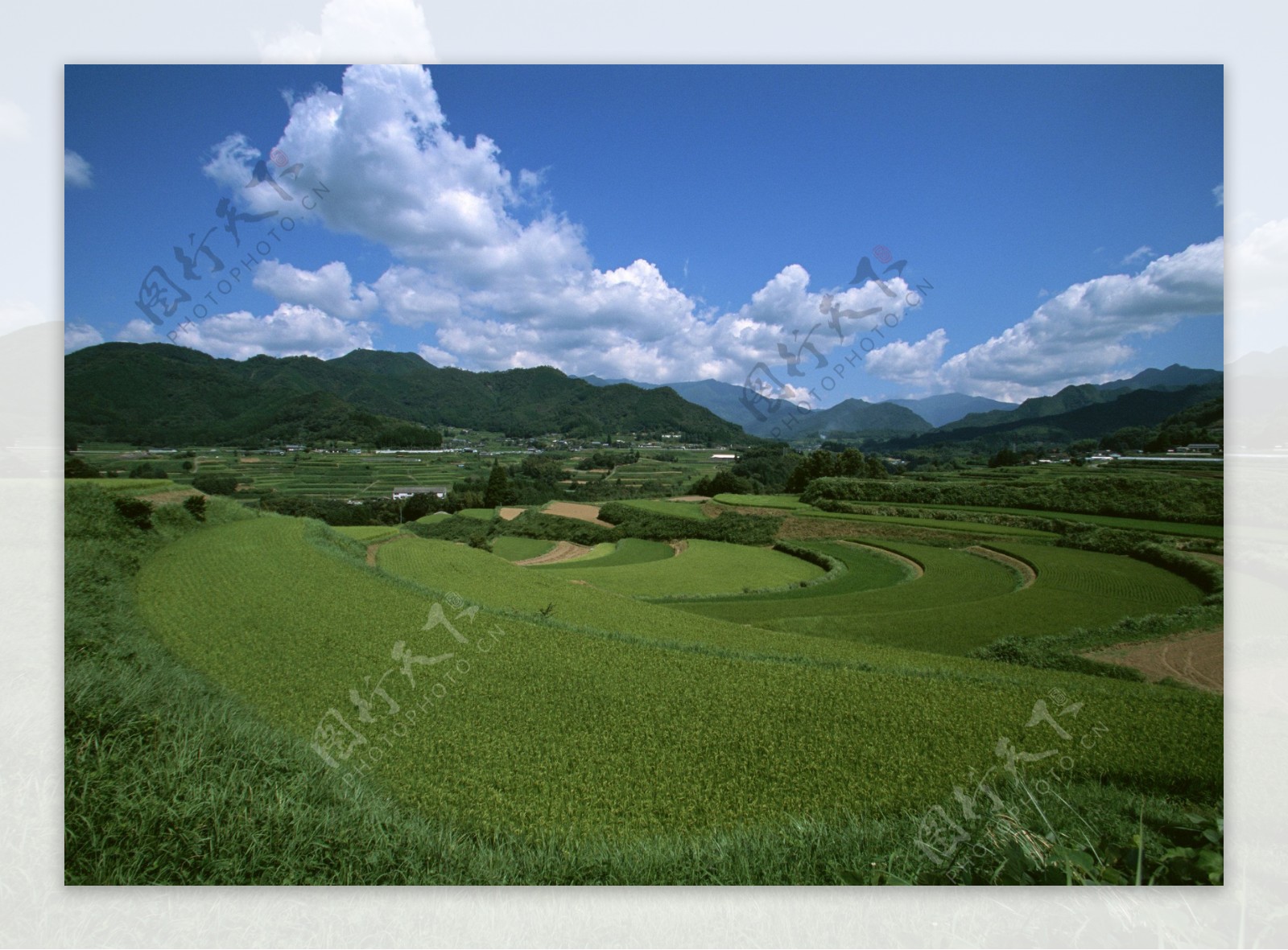 乡村田园风光