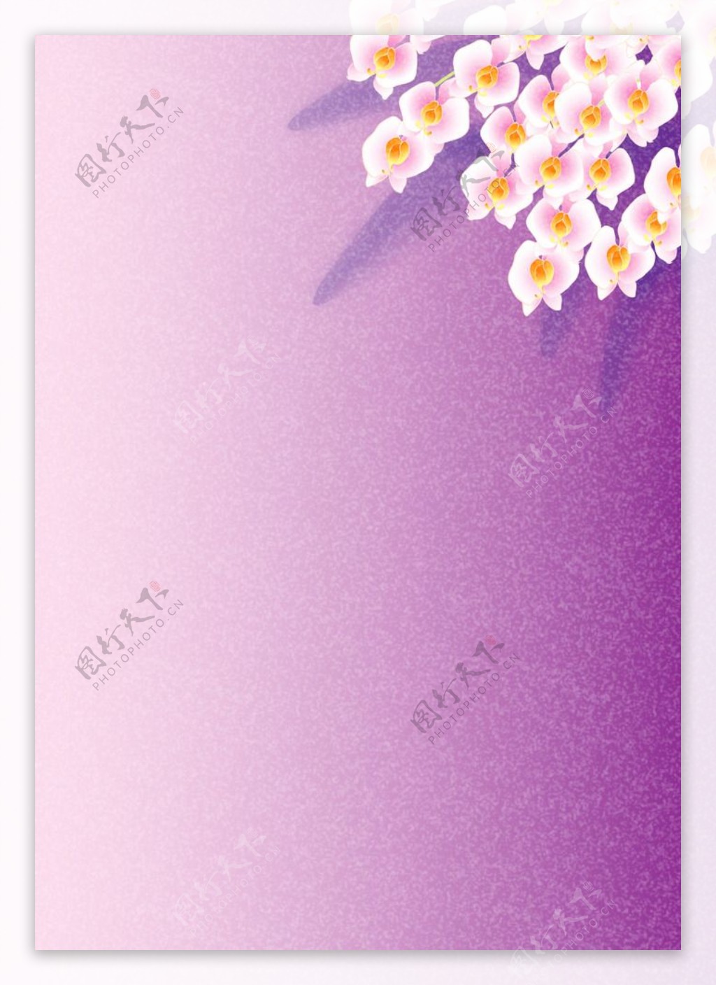 淡紫迎春花