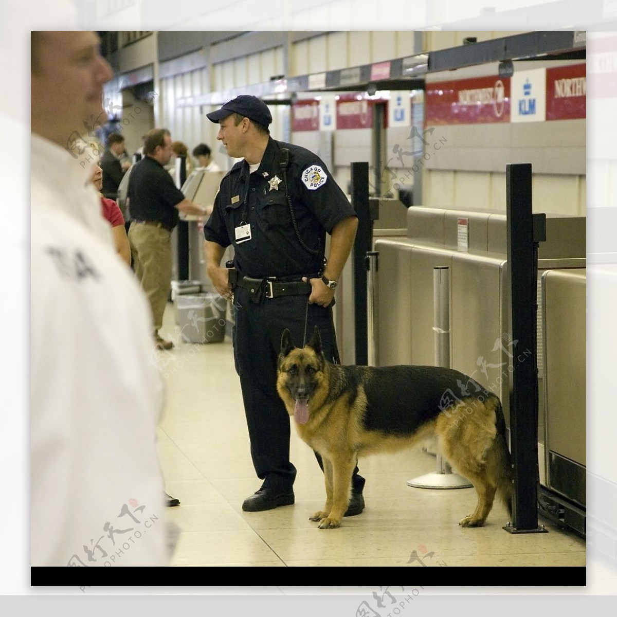 警察和警犬