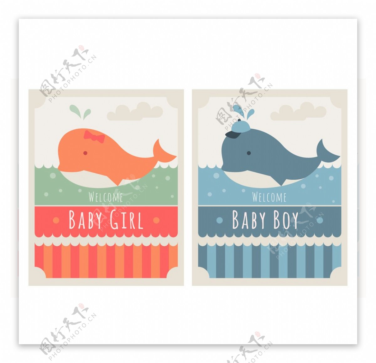 可爱的鲸鱼宝宝洗澡