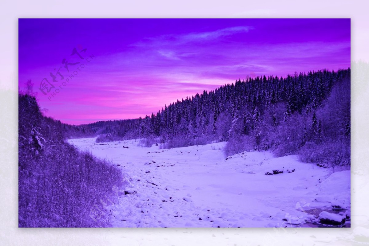 紫色风景