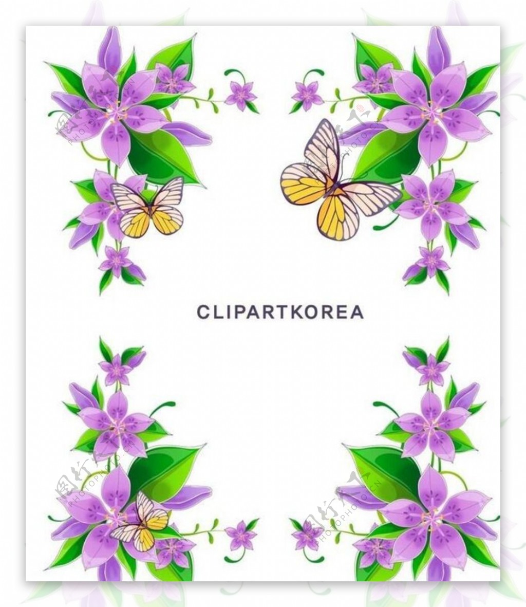 紫色蝴蝶花框