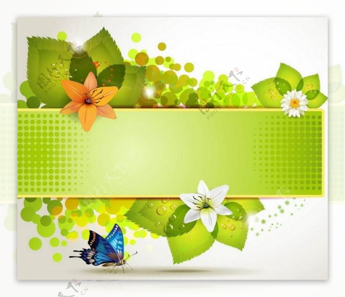 绿色花朵蓝蝴蝶矢量卡片边框