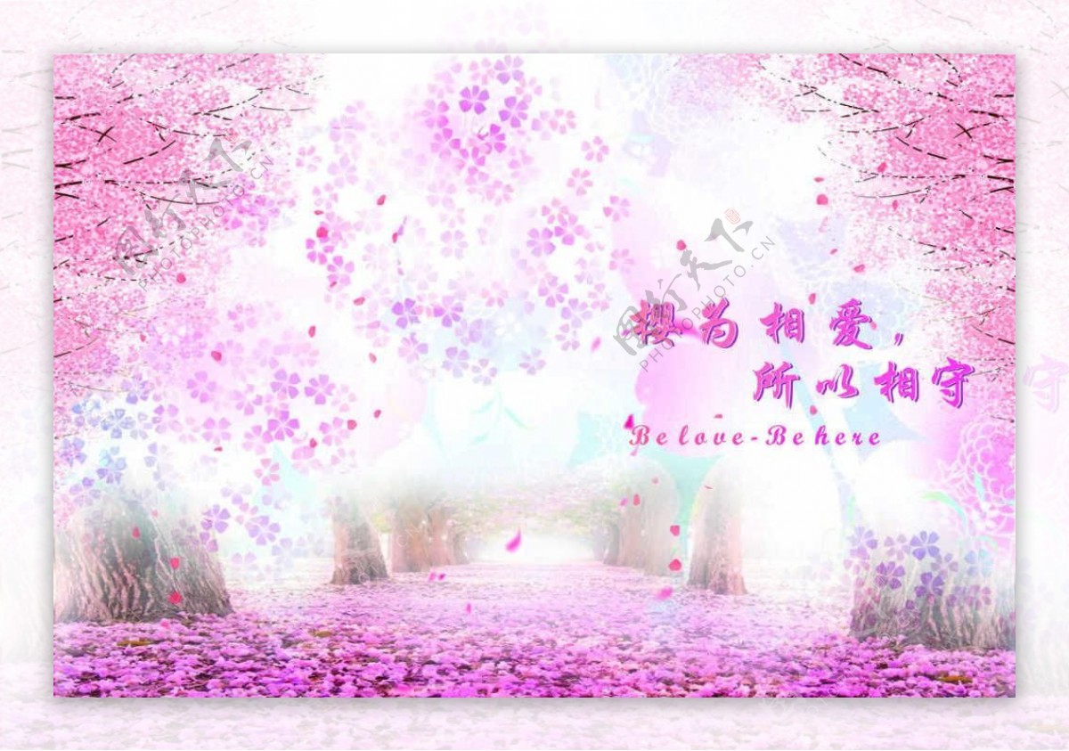 樱花主题海报宣传活动模板源文件