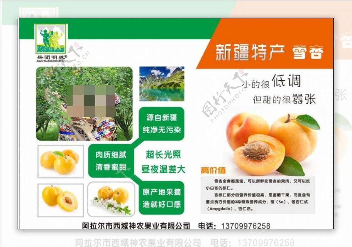 新疆特产杏子雪杏标签
