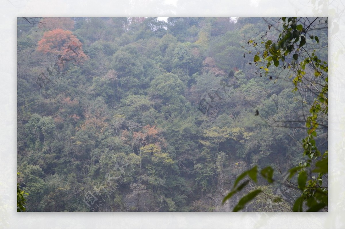 山风景实拍素材