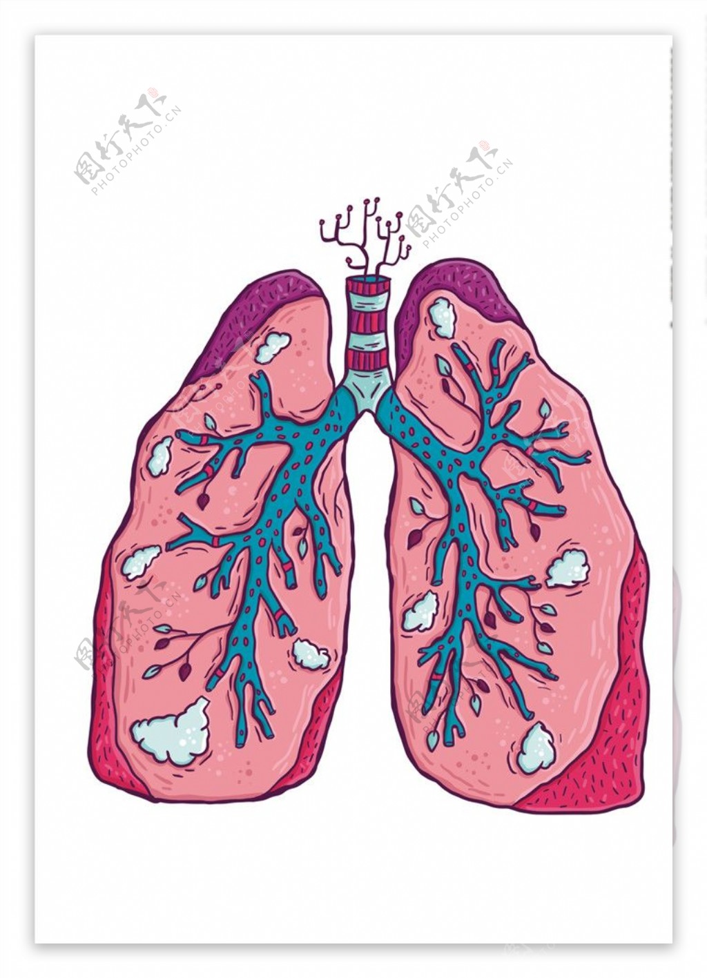 肺部素材下载废布图片下载