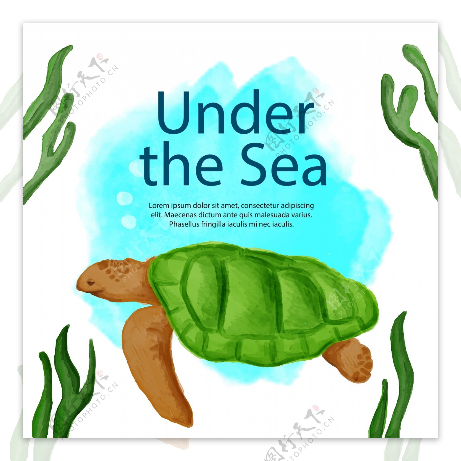 可爱的水彩海龟插图