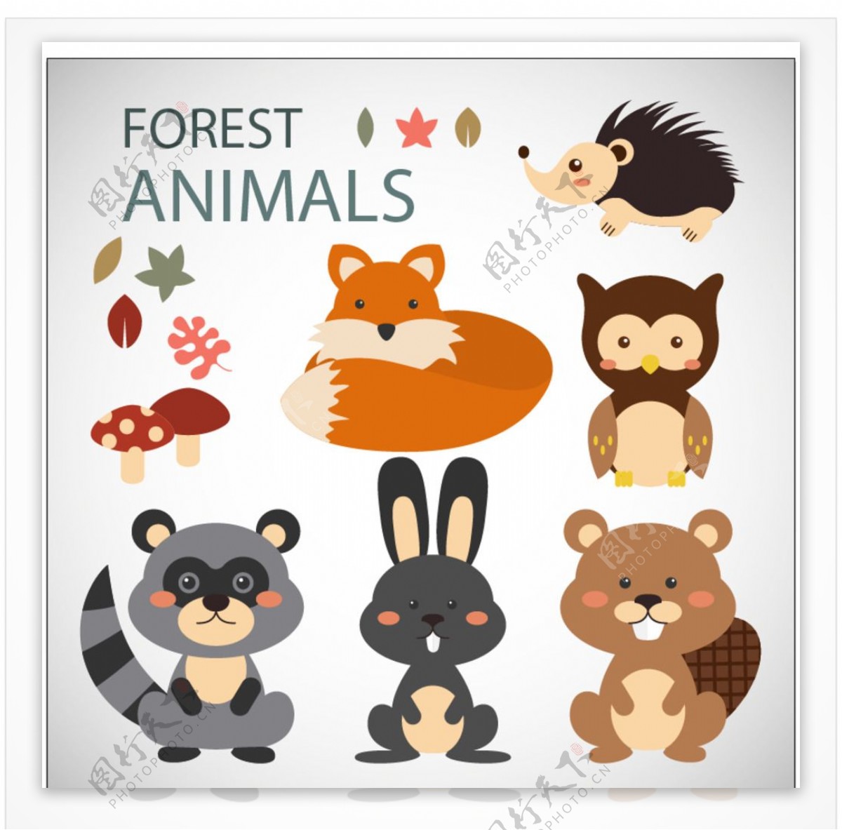 可爱的森林动物