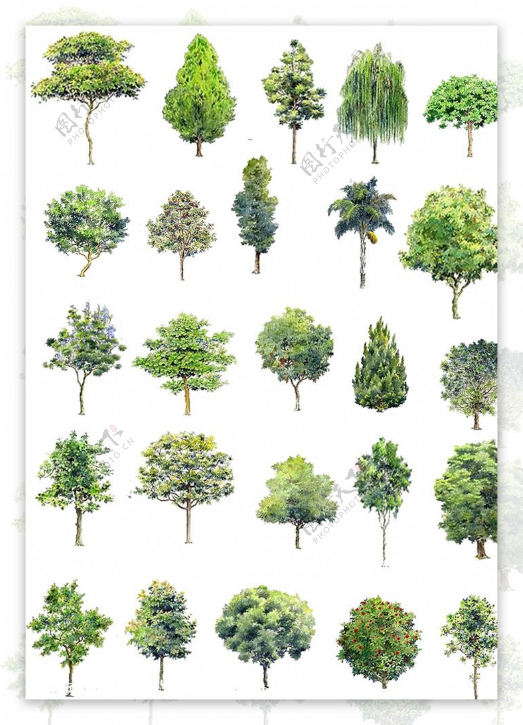 素材树景观效果图