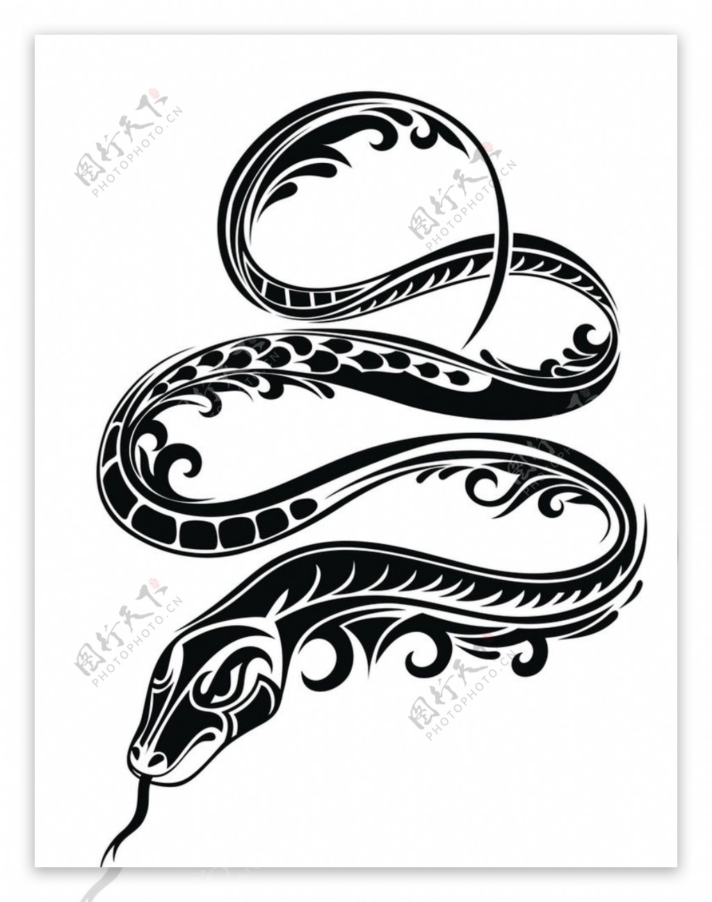 蛇黑白花纹图片素材-编号27888970-图行天下